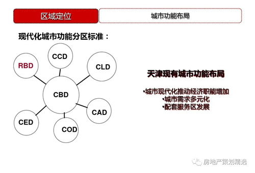 策划 天津东疆港住宅项目前期策划定位148p